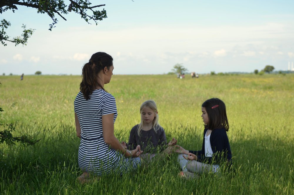 Meditation in a field